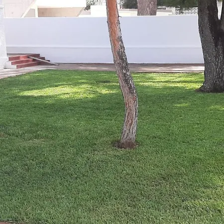 Feli 2 * بينيكاسّين