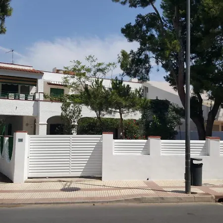 Feli 2 Benicàssim